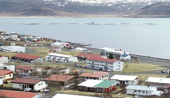 14.500 tonna aukning verði í áföngum