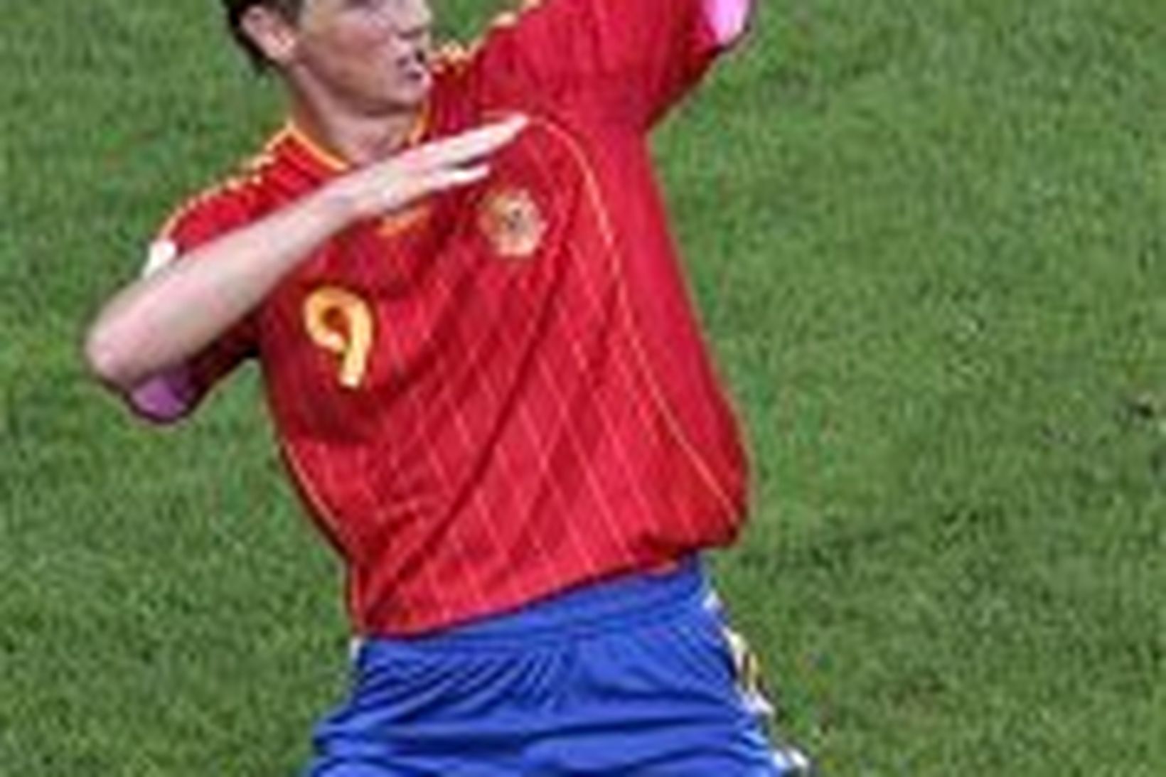 Fernando Torres fagnar marki með spænska landsliðinu.