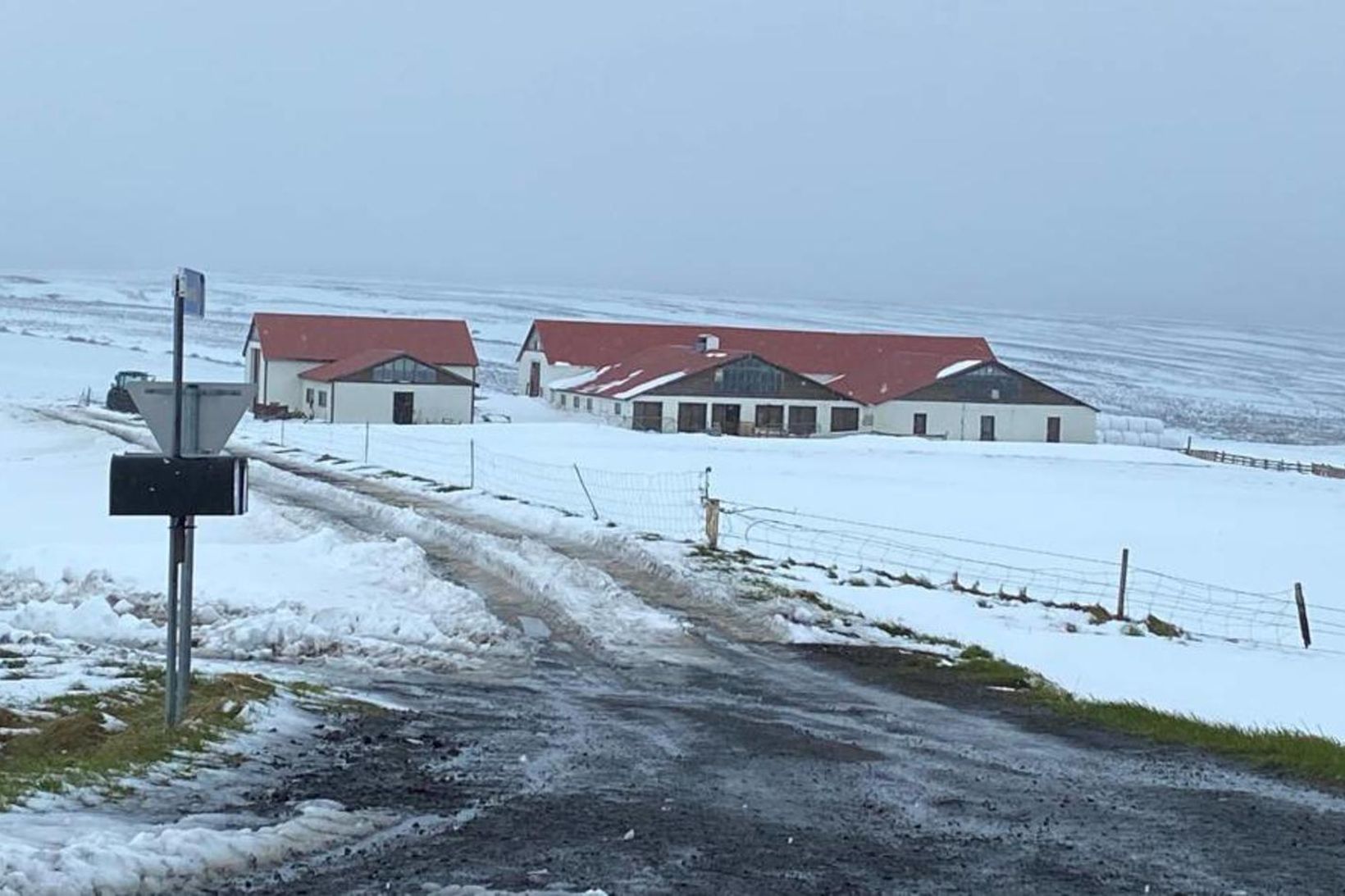 Vorhretið á Norðurlandi í júní í fyrra lék marga bændur …