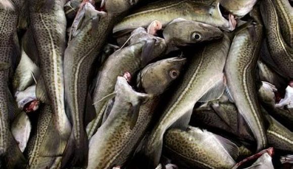Staða sumra útgerða yrði „miklu lakari“