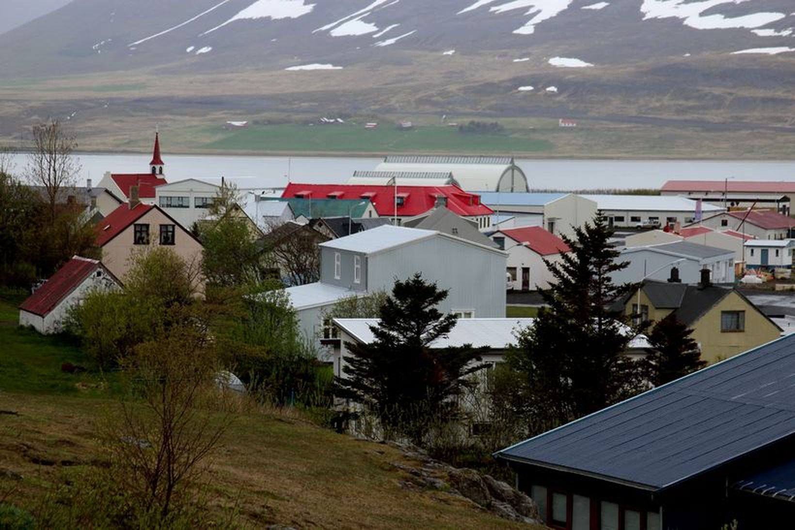 Frá Þingeyri við Dýrafjörð.