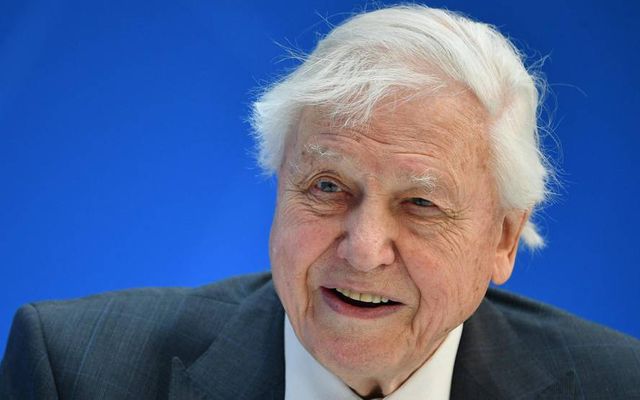 Sjónvarpsmaðurinn David Attenborough (f. 1926) er heimsfrægur fyrir náttúrulífs- og umhverfisþætti sína á breska ríkissjónvarpinu, …
