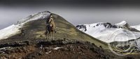 Fjallkóngurinn-Kristinn Guðnason