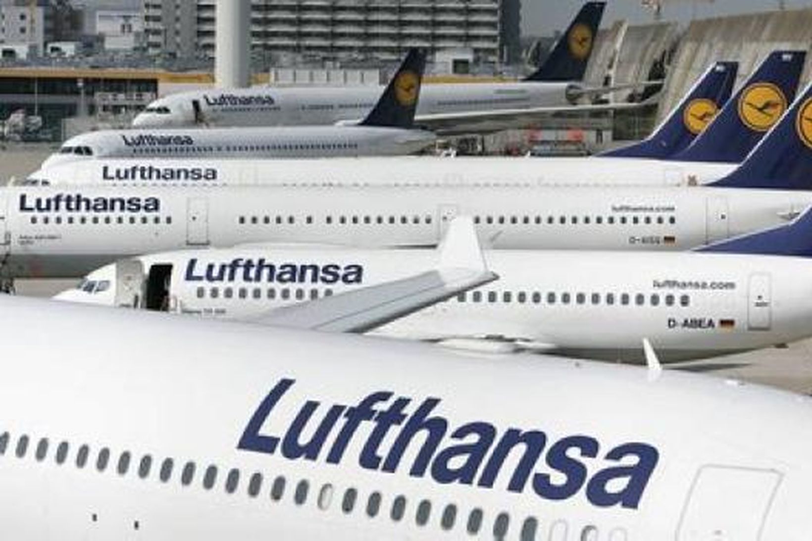 Flugfloti Lufthansa á flugvellinum í Frankfurt.