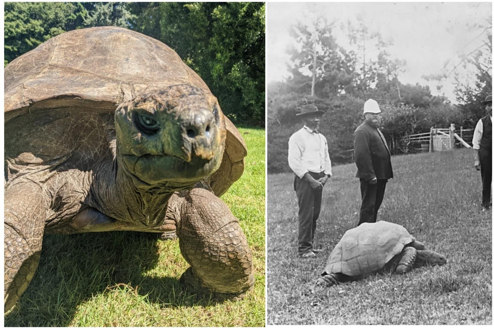 Jónatan lifir þrátt fyrir sögusagnir um annað