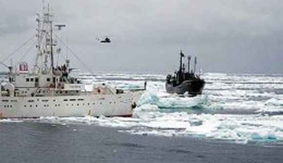 Liðsmenn Sea Shepherd teknir í gíslingu