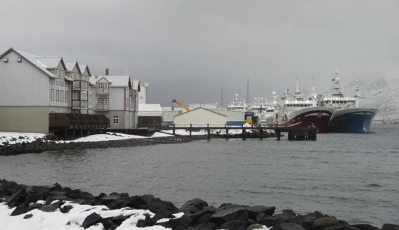Ólíklegt að íslensk loðna rati til Rússlands