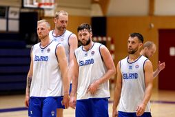 Haukur Helgi Pálsson, Tryggvi Snær Hlinason, Jón Axel Guðmundsson og Ægir Þór Steinarsson eru allir …