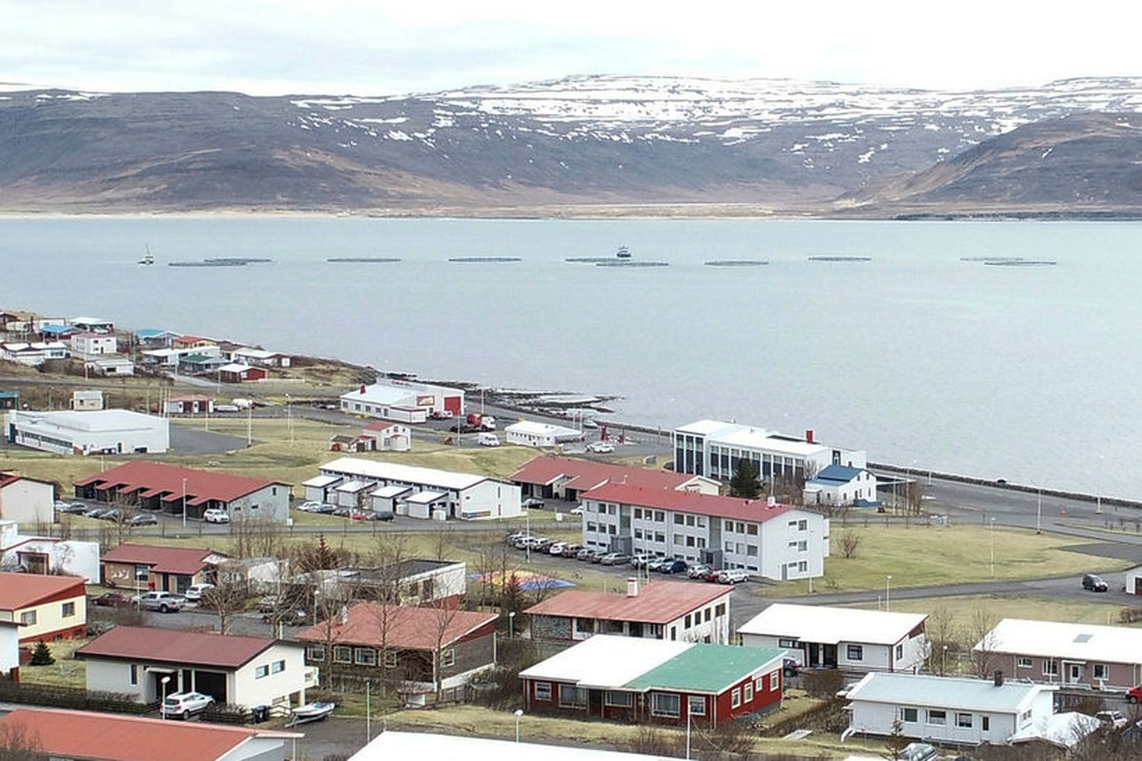 Sjókvíar skammt undan landi við Patreksfjörð.