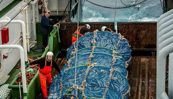 Kaup HB Granda á Ögurvík verði skoðuð