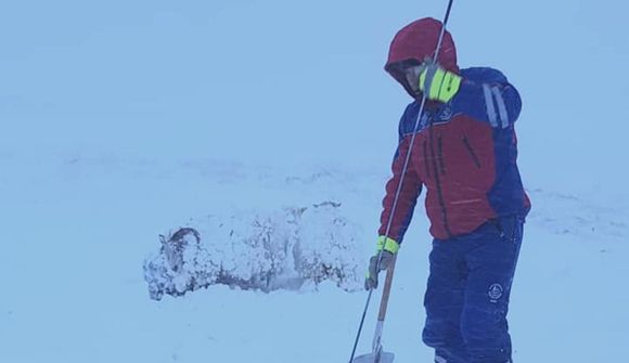 Kindum og hænum bjargað úr snjónum