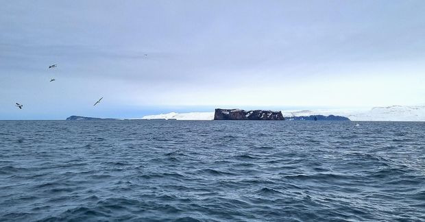 Strandveiðisjómenn í Skagafirði hafa áhyggjur af þeim áhrifum sem dragnótaveiðar í firðinum hafa á afkomu …