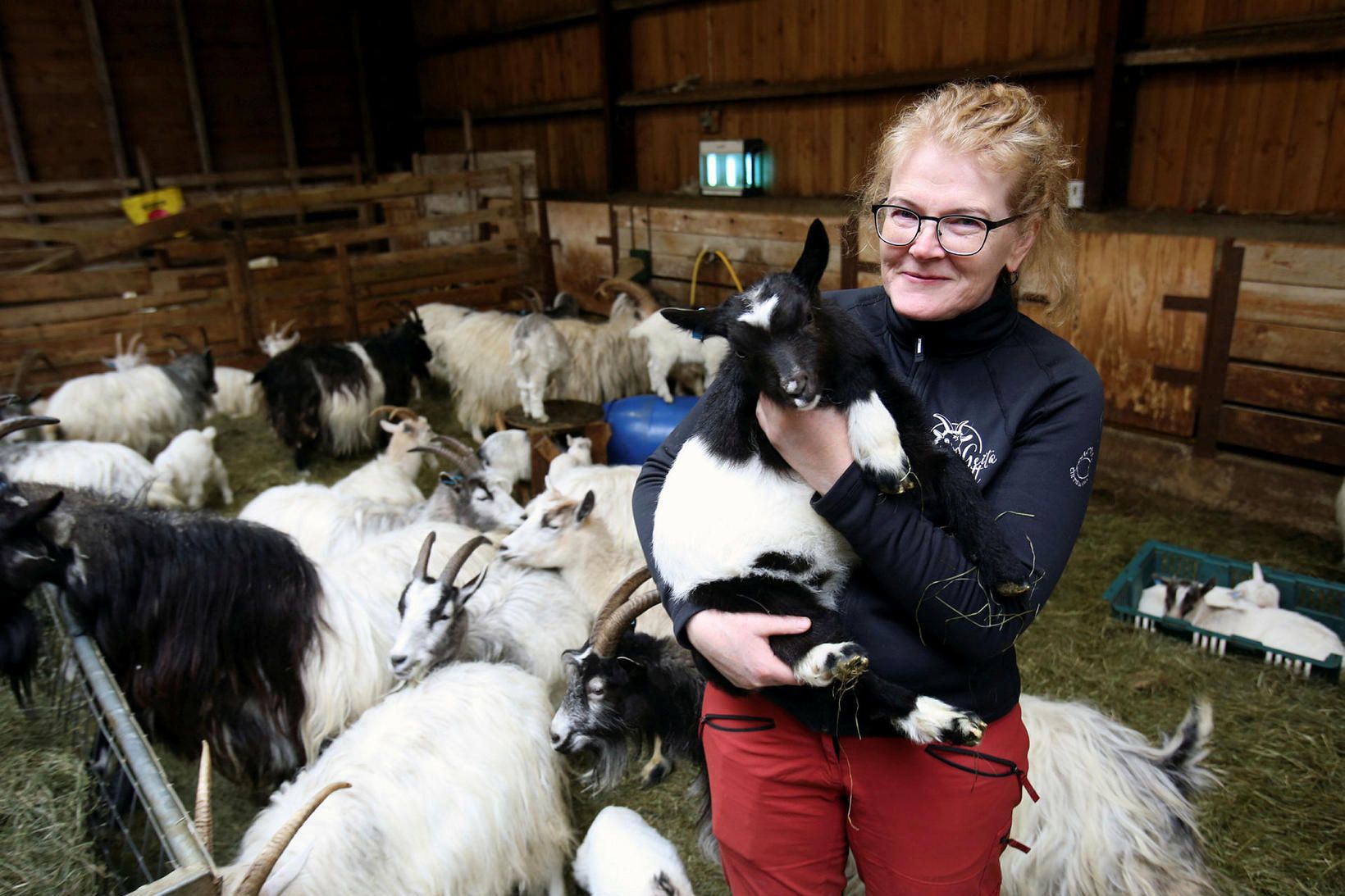 Obba á Lynghóli í Skriðdal segir að geitur séu svo …