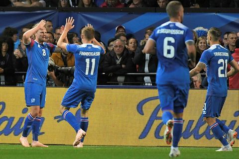 Birkir Bjarnason and his fellow team members rejoice after the first goal last night.