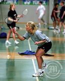 Meistaramót í badminton