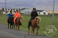 Hestabóndi og frú