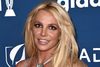 Britney Spears segir nóg komið