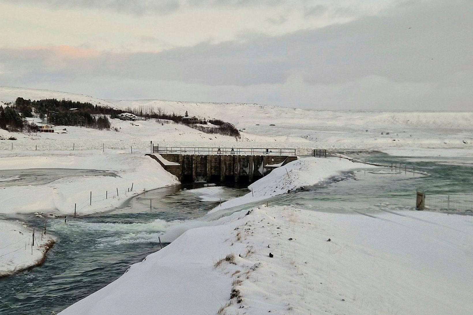 Áveituskurðurinn og flóðgáttin í gær.