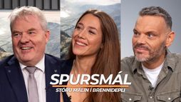 Spursmál: Spangólandi ráðherrar og ósvífinn stjórnandi