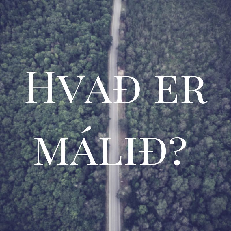 Hvað er málið?