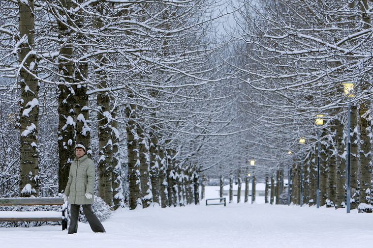 Storm on St Thorlaks Mass but it is heading for a white Christmas