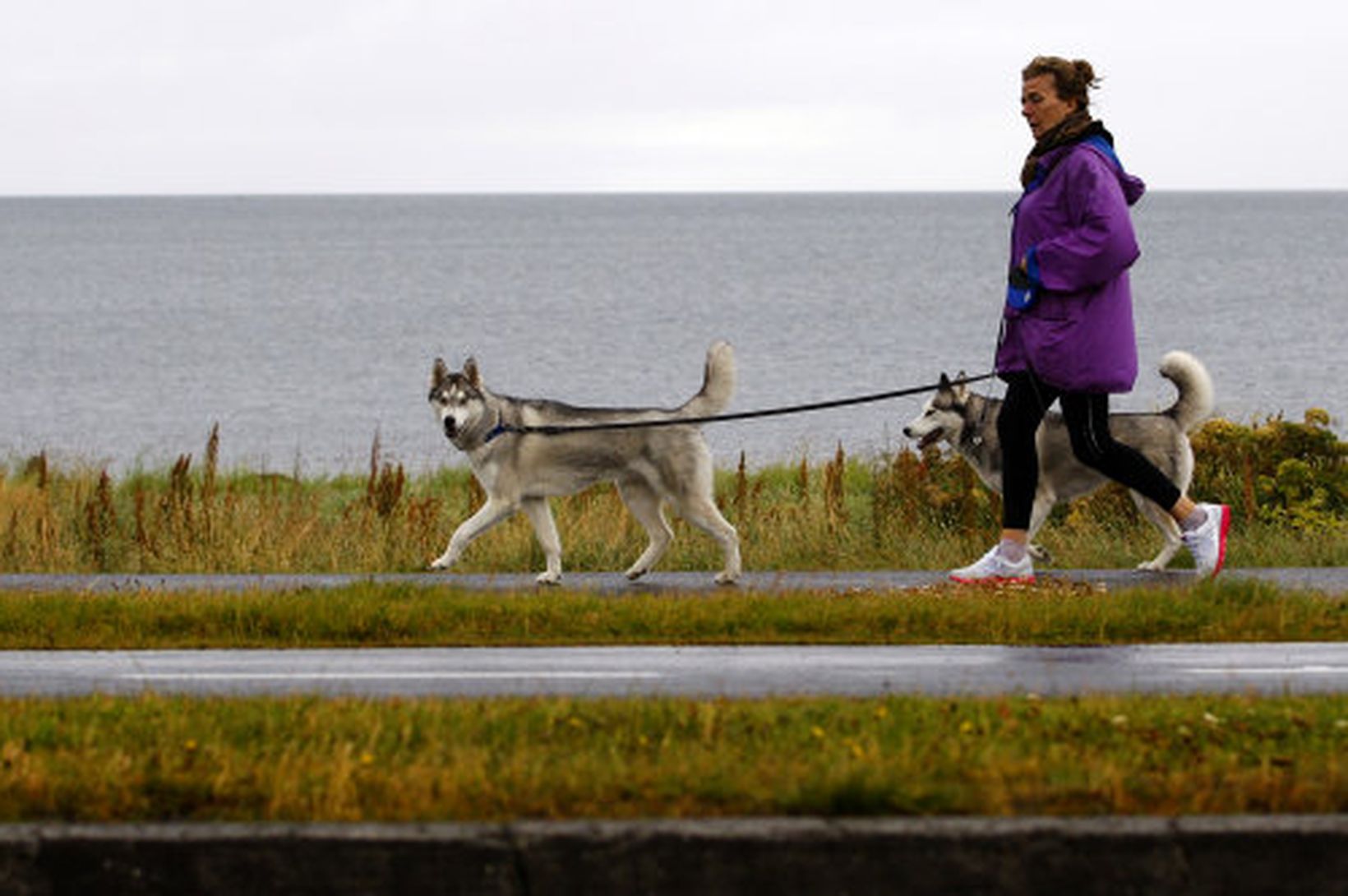 Rólegt veður næstu daga