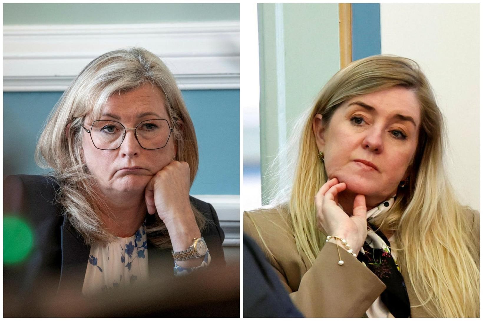 Stefnt að auknu samstarfi talmeinafræðinga