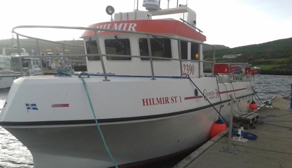 Krefst vitleysu, heimsku eða hvors tveggja