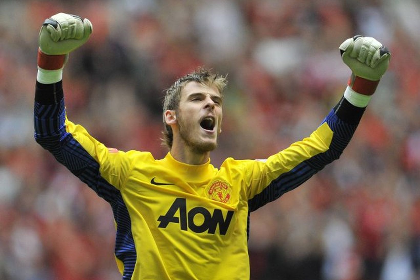 David de Gea, hinn tvítugi markvörður Manchester United.