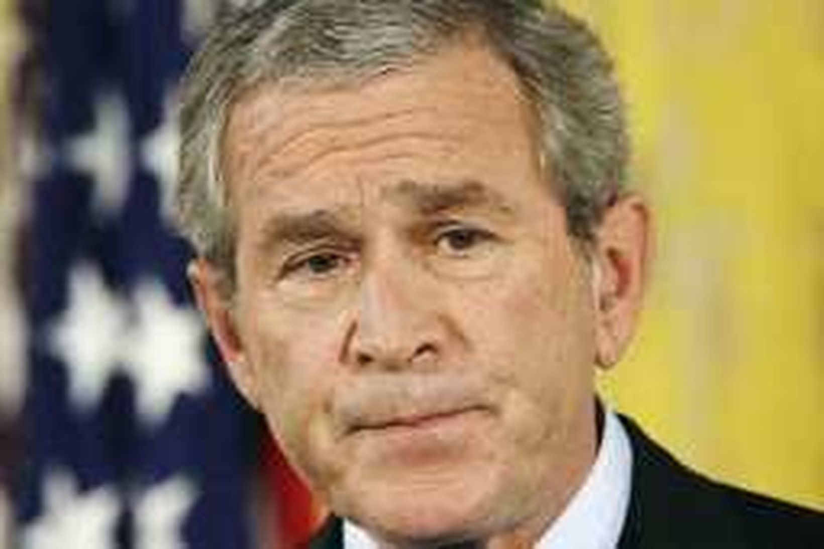 Bush á fréttamannafundi í dag.