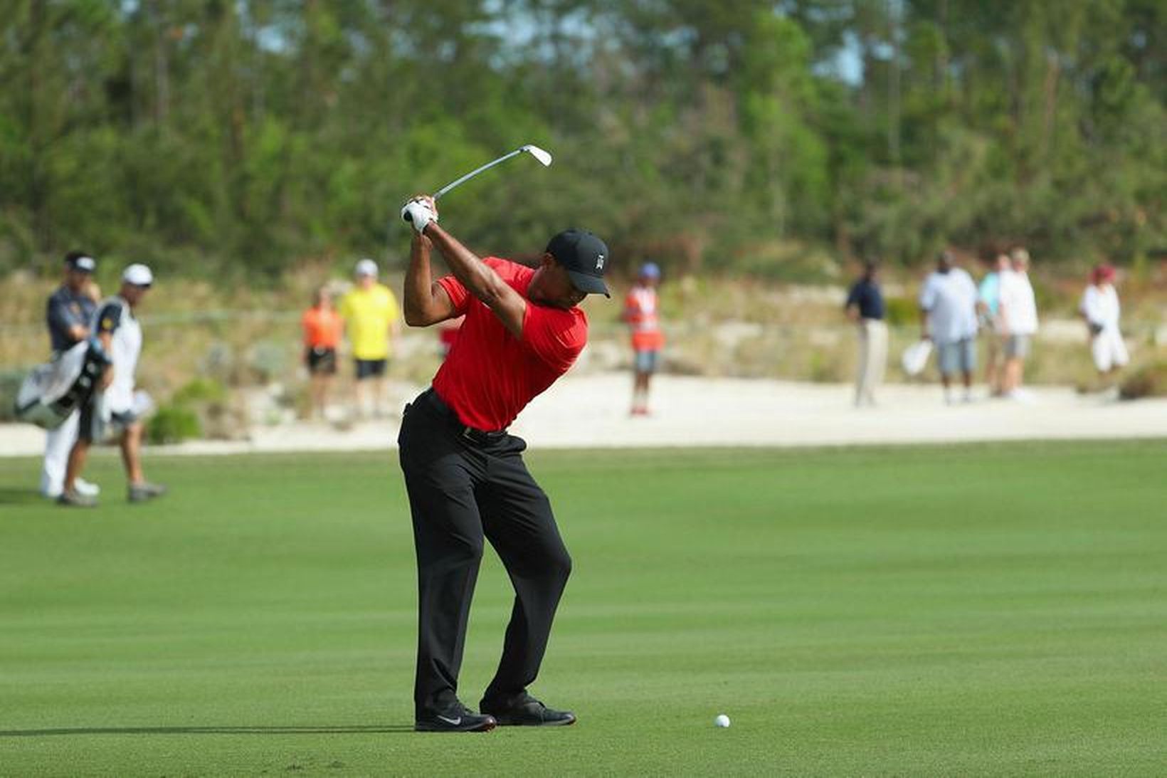 Tiger Woods slær á Bahamas um helgina.