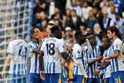 Brighton hefur laðað til sín marga efnilega knattspyrnumenn á undanförnum árum og hagnast vel á …