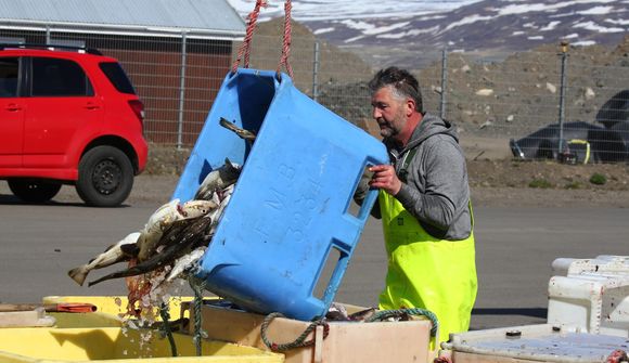 „Ég held það hafi verið þokkalegt fiskirí hjá öllum“