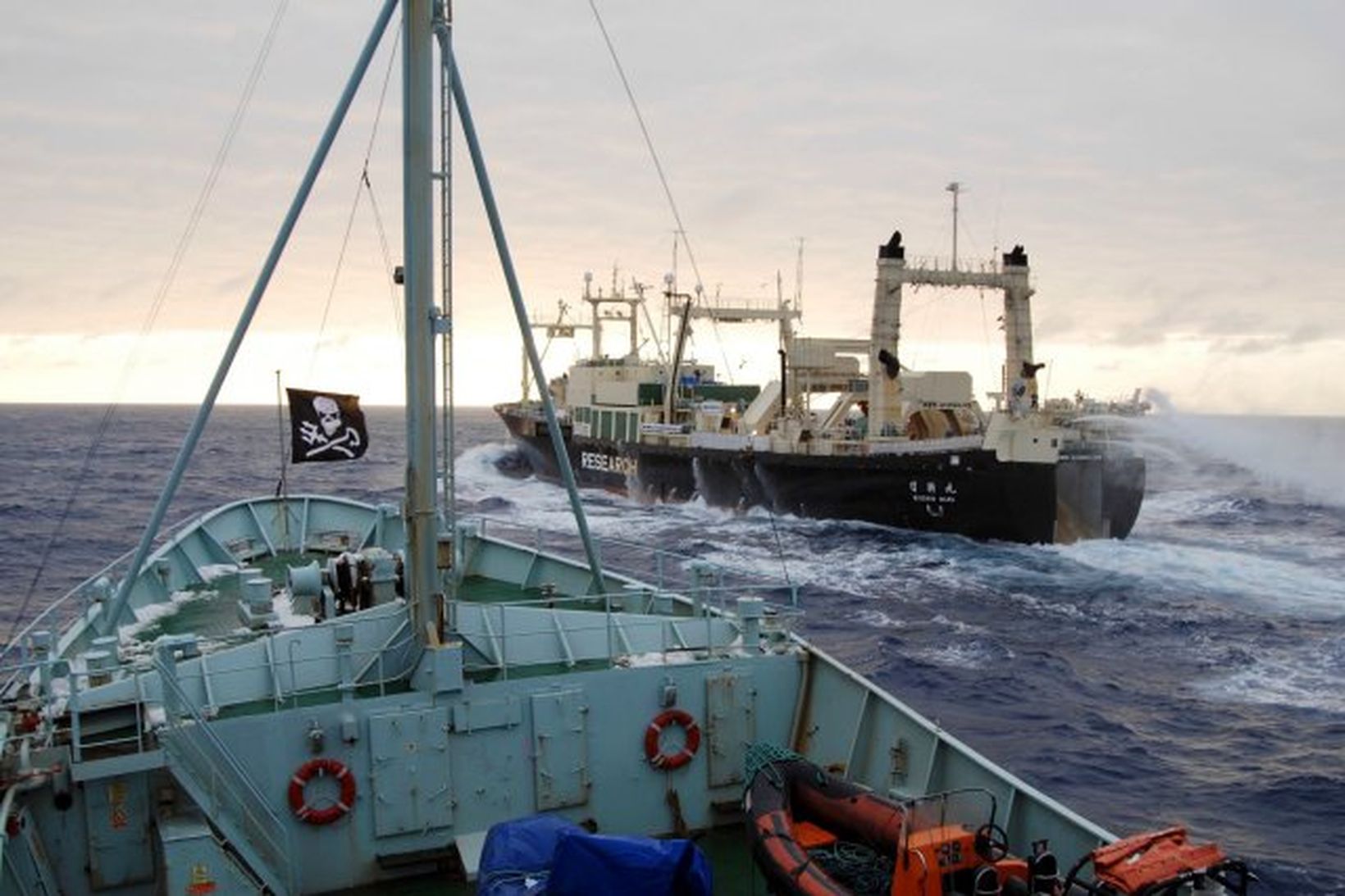 Hvalfriðunarsinnar elta japanska hvalveiðiskipið Nisshin Maru á hvalaslóðum við Suðurskautslandið.