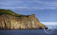 Bjarnarey - Vestmannaeyjar