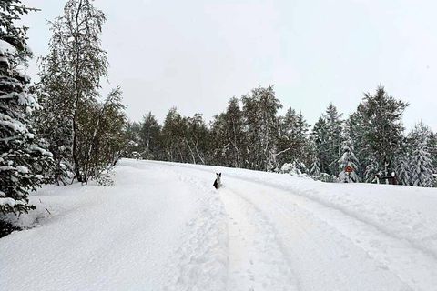 Júníhretin eru ekki óalgeng á Norðurlandi og Vestfjörðum að sögn Einars Sveinbjörnssonar veðurfræðings. Myndin er …