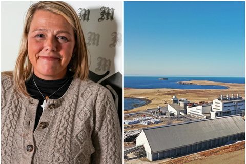 Arna Lára Jónsdóttir, formaður efnahags- og viðskiptarnefndar, segir rekstrarstöðvun kísilverksmiðjunnar PCC alvarlega.