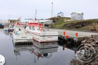 Grímsey - Norðurland -