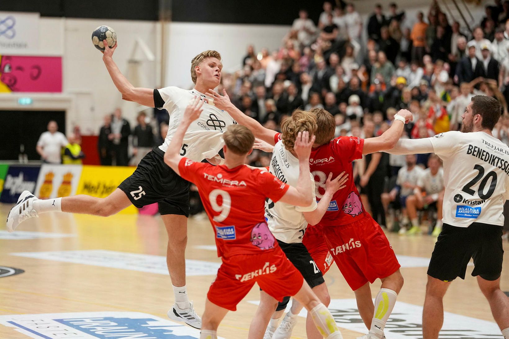 FH - Haukar, staðan er 13:11