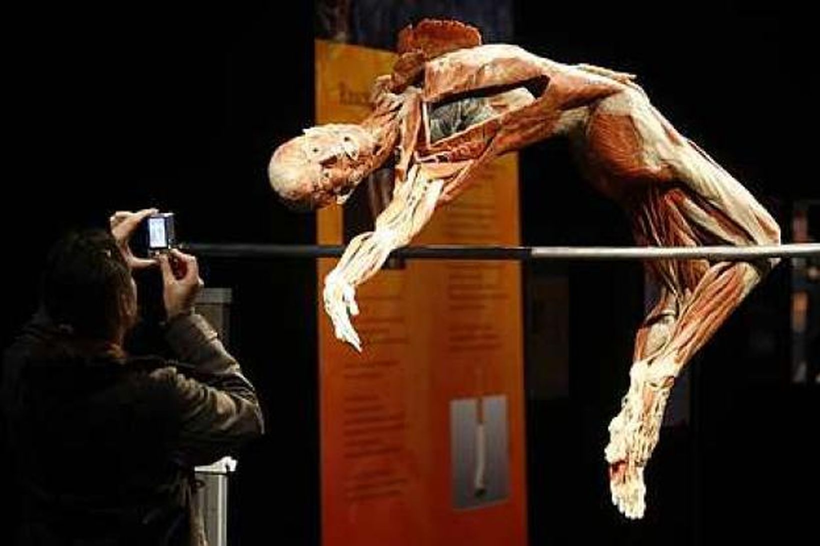 Verk af fyrri sýningu Von Hagens 'Body Worlds'