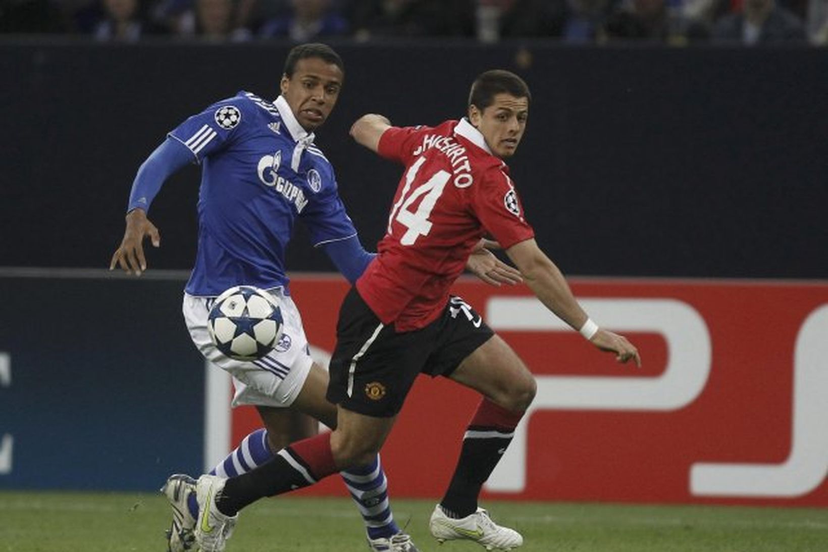 Joel Matip hjá Schalke reynir að stöðva Javier Hernández í …