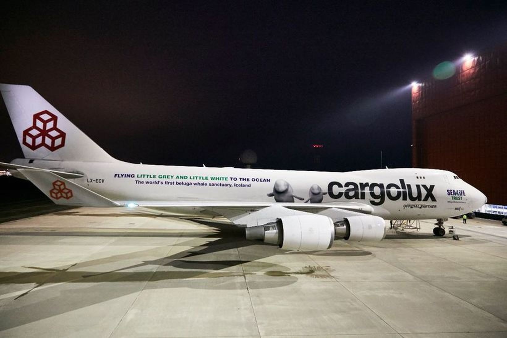 Flugvél Cargolux sem mun flytja hvalina til Íslands.