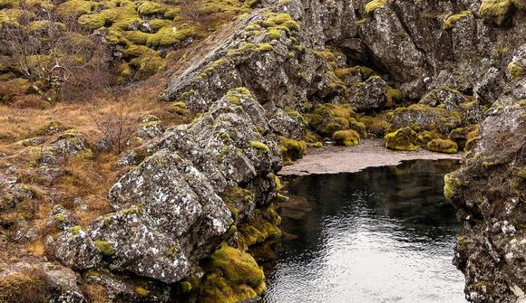 Beint: Flokkarnir ræða umhverfis- og loftslagsmál 