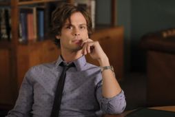 Matthew Gray Gubler.