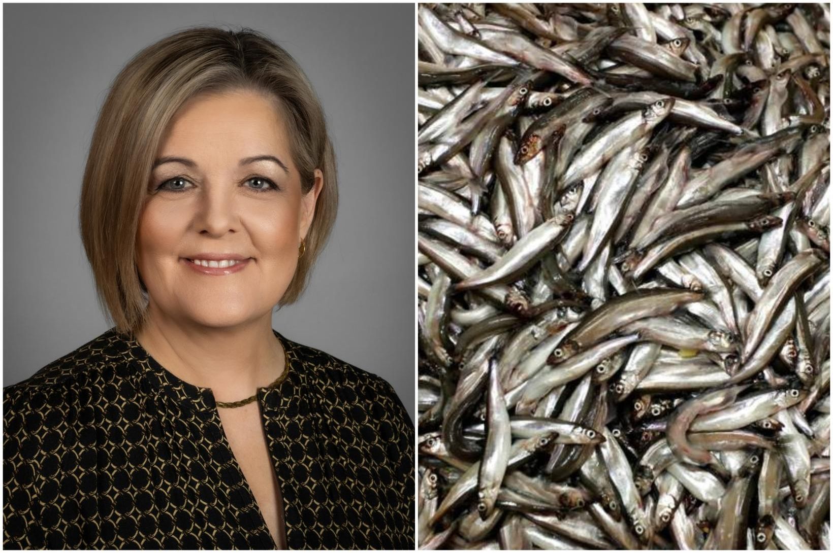 Ráðherra geti lagt álag á fyrirtækin