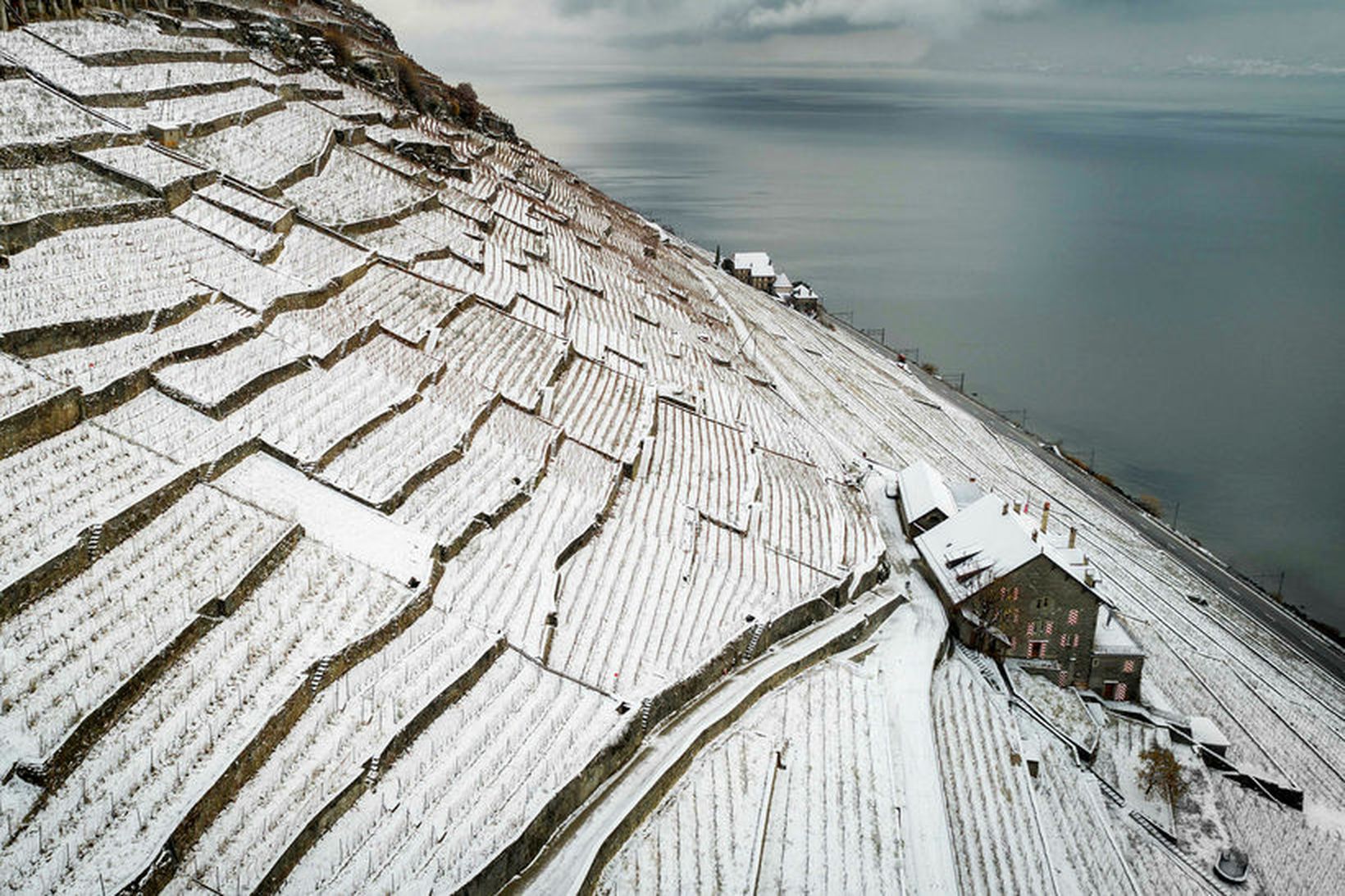 Efna til atkvæðagreiðslu um þak á íbúafjölda landsins