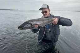 Páll Gísli Jónsson tók þennan á Dímon í Vatnamótunum. Mældist 74 sentímetrar. Páll segir að …