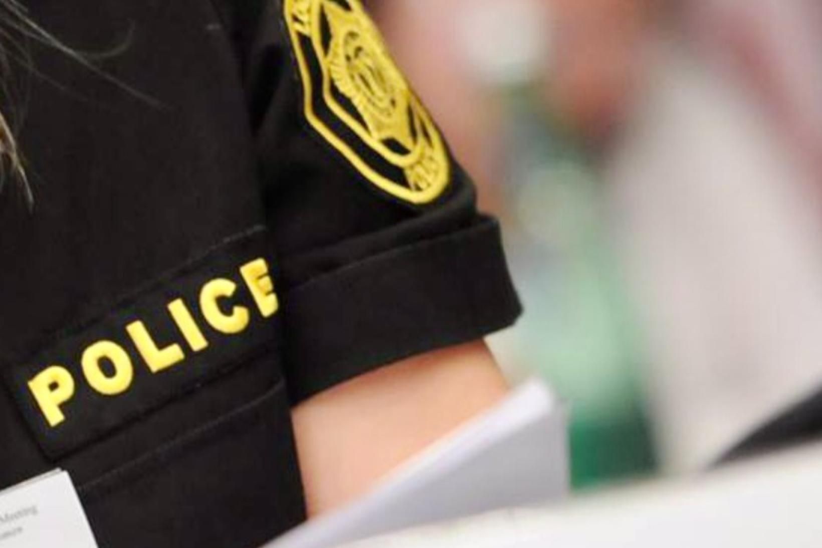 Íslendingar meðal þeirra handteknu