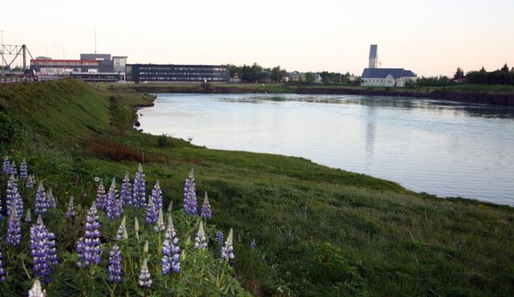 Miklar umferðartafir við Selfoss