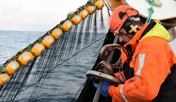 Ekkert bendi til að Hafró hafi ofmetið stofninn